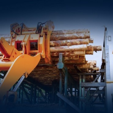 Automação e Controle na Indústria da Madeira em Bombinhas